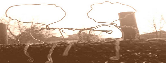 Un'alunna dell IC1 vincitrice del concorso fotografico Riciclick promosso da RICREA, Consorzio Nazionale Riciclo e Recupero Imballaggi Acciaio