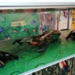 IMG-20190519-WA0057