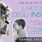 hotel_insetti