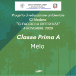 1 A melo