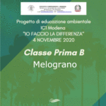 1 B melograno