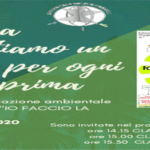 festaalbero