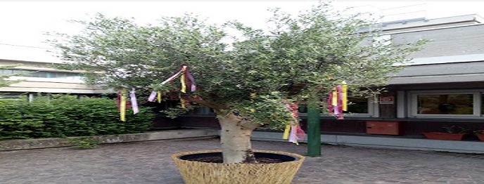 4 GIARDINI & 1 ORTO -RICICLIAMO E RISPARMIAMO